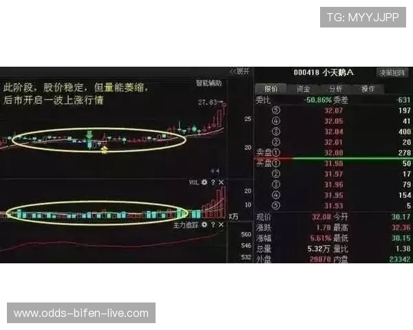 波胆单双怎么看盘避坑指南高频玩法防骗秘诀
